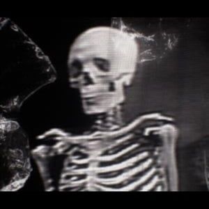 Meet your Posher, Lizbeth